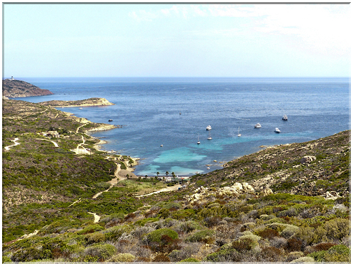 8973 Calvi_La plage de l'Alga.jpg