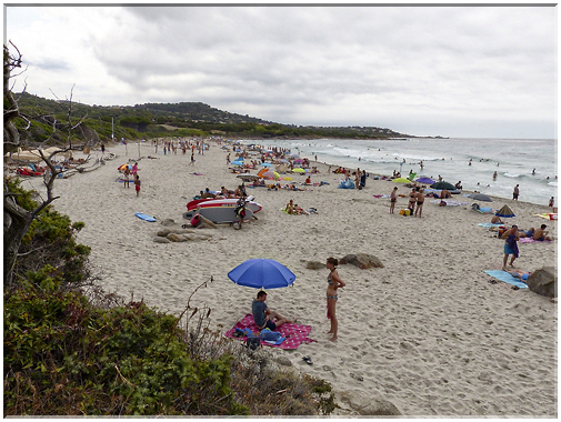 8981 Corbora_La plage de Ghjunchitu.jpg