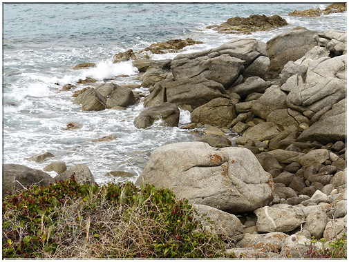 8983 Corbora_Les rochers entre deux plages de sable.jpg