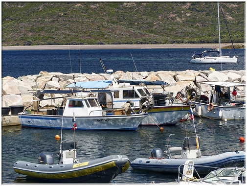 8990 Galéria_Les bâteaux de pêche.jpg