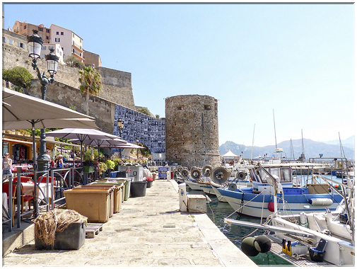 9001 Calvi_Le port de pêche.jpg