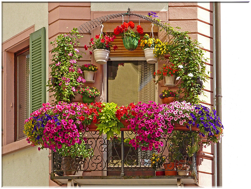 9005 Zell am Harmersbach_Un balcon très fleuri.jpg