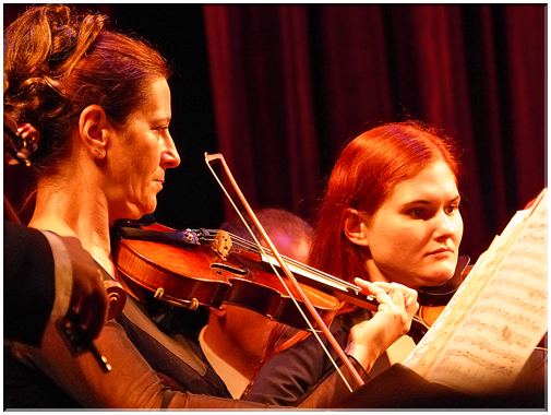 9107  Salzbourg_Les violonistes.JPG