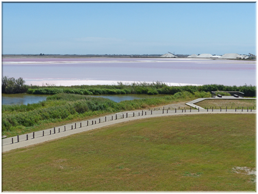 9315 Aigues-Mortes_Les salins.JPG
