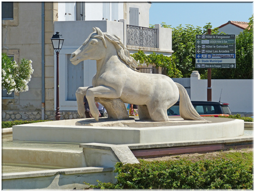 9331 Saintes-Maries de la Mer_Crin Blanc de Pascal Demaumont.JPG