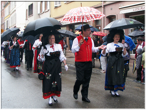 9449 Wissembourg-Richstetter Sneftblueme (Pentecôte 2013).jpg