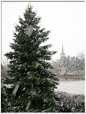 9455 Il neigeait, il neigeait toujours.jpg