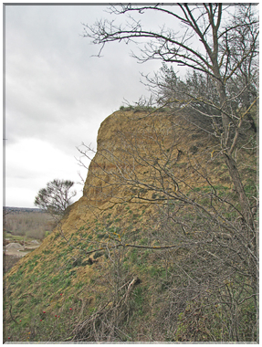 9464 Clermont le Fort-Une falaise molassique bordant l'Ariège.jpg