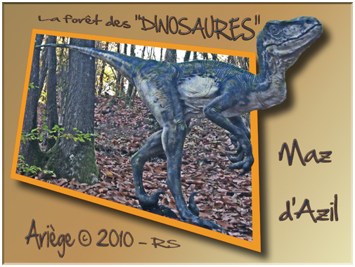 9541 Mas d'Azil-Une composition ''hors cadre''.jpg