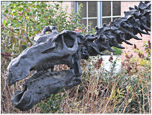 9550 Toulouse-Le dinosaure du Jardin des plantes.jpg