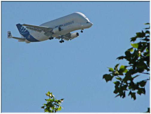 9553 Toulouse-Un avion cargo Beluga.jpg