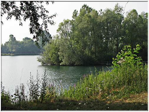 9573 Reichstett-Le plan d'eau.jpg