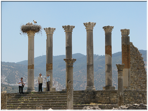 9674 Maroc-Volubilis-Le Capitole.jpg