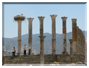 9674 Maroc-Volubilis-Le Capitole.jpg