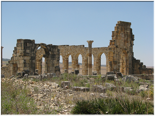 9675 Maroc-Volubilis-La basilique judiciaire.jpg