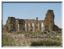 9675 Maroc-Volubilis-La basilique judiciaire.jpg