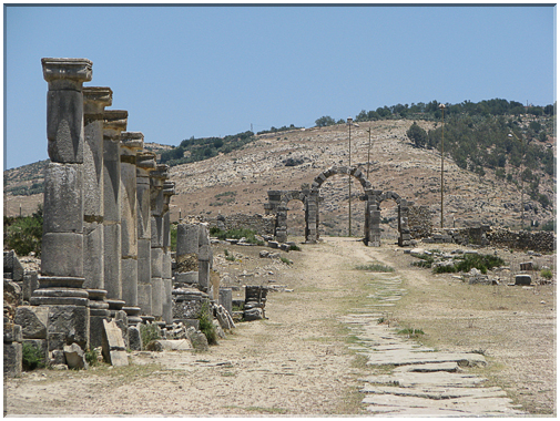 9677 Maroc-Volubilis-Le decumanus et la porte de Tanger.jpg