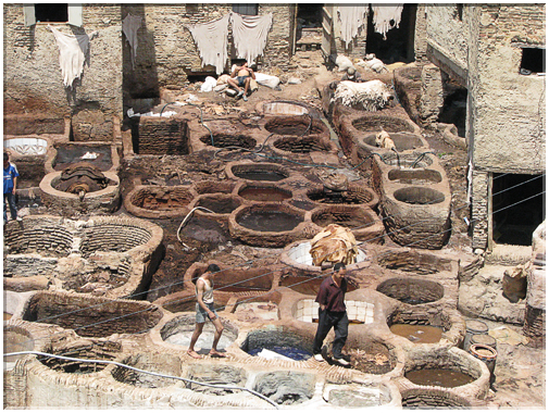 9689 Maroc-Fès-Les cuves de teinture du cuir.jpg