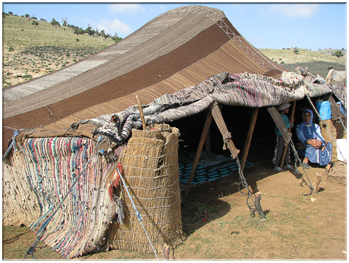 9695 Maroc-Un campement nomade.jpg
