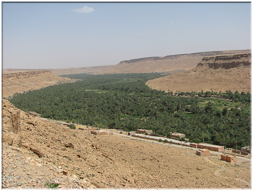 9698 Maroc-Le Tafilalet ou vallée du Ziz.jpg