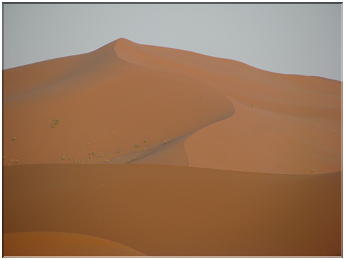 9703 Maroc-Erfoud-Vers les dunes de Mezourga.jpg