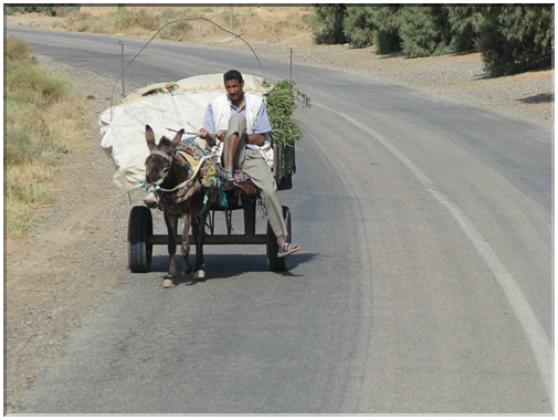 9706 Maroc-Un mode de transport local.jpg