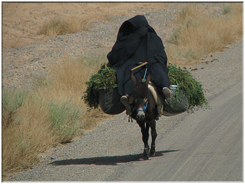 9707 Maroc-Un autre mode de transport.jpg