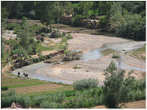 9713 Maroc-Boumalne du Dadès-L'Oued Dadès .jpg