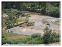 9713 Maroc-Boumalne du Dadès-L'Oued Dadès .jpg