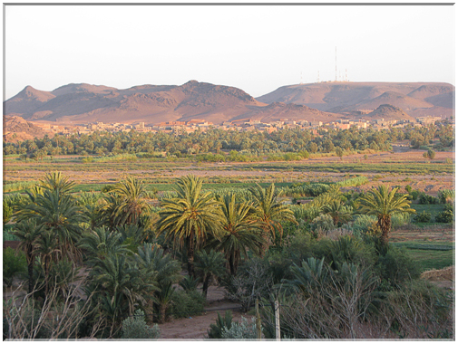 9717 Maroc-Ouarzazate-La palmeraie.jpg