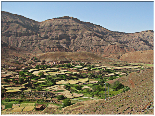 9719 Maroc-La culture étagée de montagne.jpg