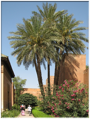 9725 Maroc-Marrakech-Les murs de la médina.jpg