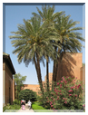 9725 Maroc-Marrakech-Les murs de la médina.jpg