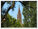 9785 Strasbourg-La cathédrale-Sa flèche.jpg