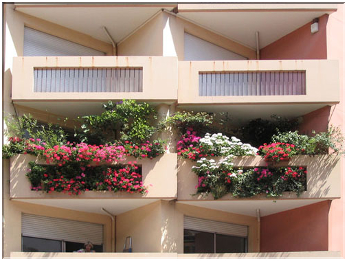 9830 Strasbourg-Des balcons fleuris rue des Bonnes Gens.jpg