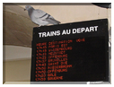 9844 Strasbourg-Un pigeon voyageur.jpg