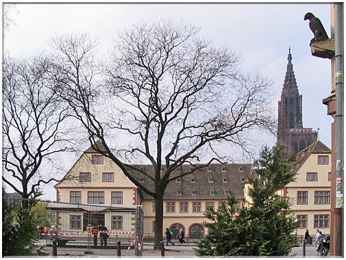 9859 Strasbourg-La place du Corbeau.jpg