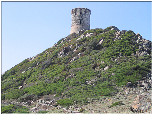 9867 Corse-Golfe d'Ajaccio-La tour génoise de Punta Parata.jpg