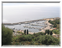 9878 Corse-Le port de Cargèse.jpg