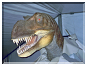 9889 Strasbourg-Un tyrannosaure (DinoExpo 2002).jpg