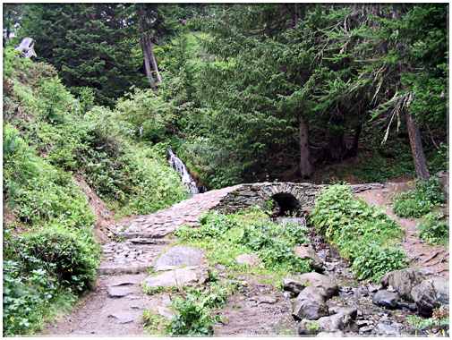 9892 La Rosière-Un chemin forestier.jpg