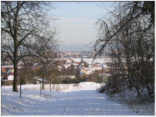 9895 Niederhausbergen-Sous la neige.jpg
