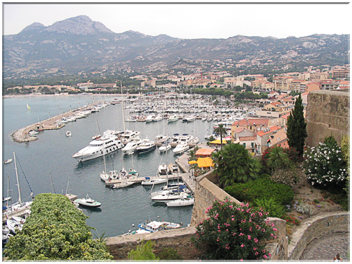 9902 Corse-Calvi-Le port vu de la citadelle.jpg