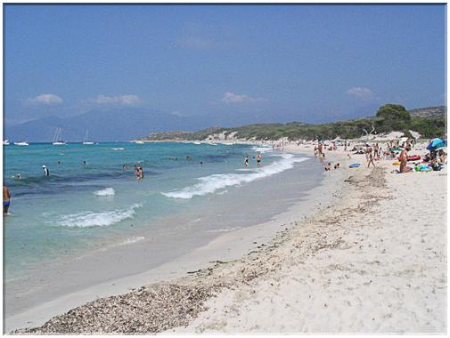 9905 Corse-Les Agriates-La plage de Saleccia.jpg