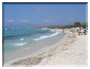 9905 Corse-Les Agriates-La plage de Saleccia.jpg