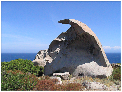 9909 Corse-Punta Spano-Le rocher.jpg