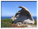 9909 Corse-Punta Spano-Le rocher.jpg