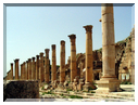 9929 Jordanie-Jerash-Le cardo maximus.jpg