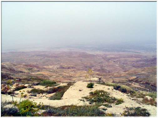 9935 Jordanie-Le Pays de Canaan.jpg