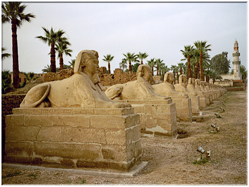 9982 Egypte-Louxor-L'allée aux sphinx reliant les 2 temples.jpg